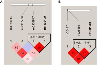 Association of APEX1 and XRCC1 Gene Polymorphisms With HIV-1 Infection Susceptibility and AIDS Progression in a Northern Chinese MSM Population